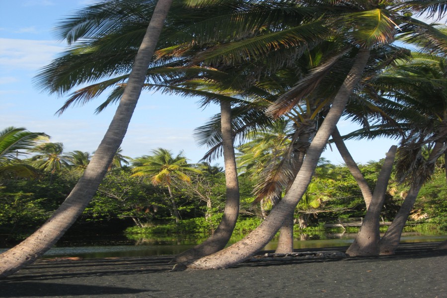 ../image/punaluu black sand beach 5.jpg